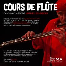 Cours de flûte traversière et flûte à bec
